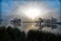 Jeff Winchurch, Misty Morning, Cundell Trophy best print & Eileen Wadley Trophy best standard image